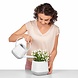 LECHUZA Pot de fleurs YULA blanc/gris soie mat LECHUZA Pot de fleurs YULA blanc/gris soie mat