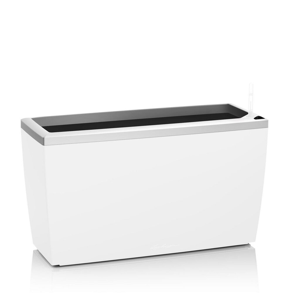 Wisselrand Wisselrand