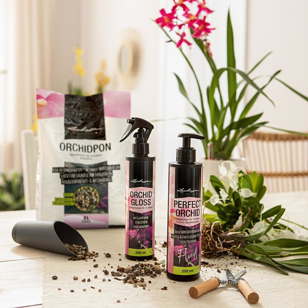 Vloeibare meststof PERFECT ORCHID Fluid Vloeibare meststof PERFECT ORCHID Fluid