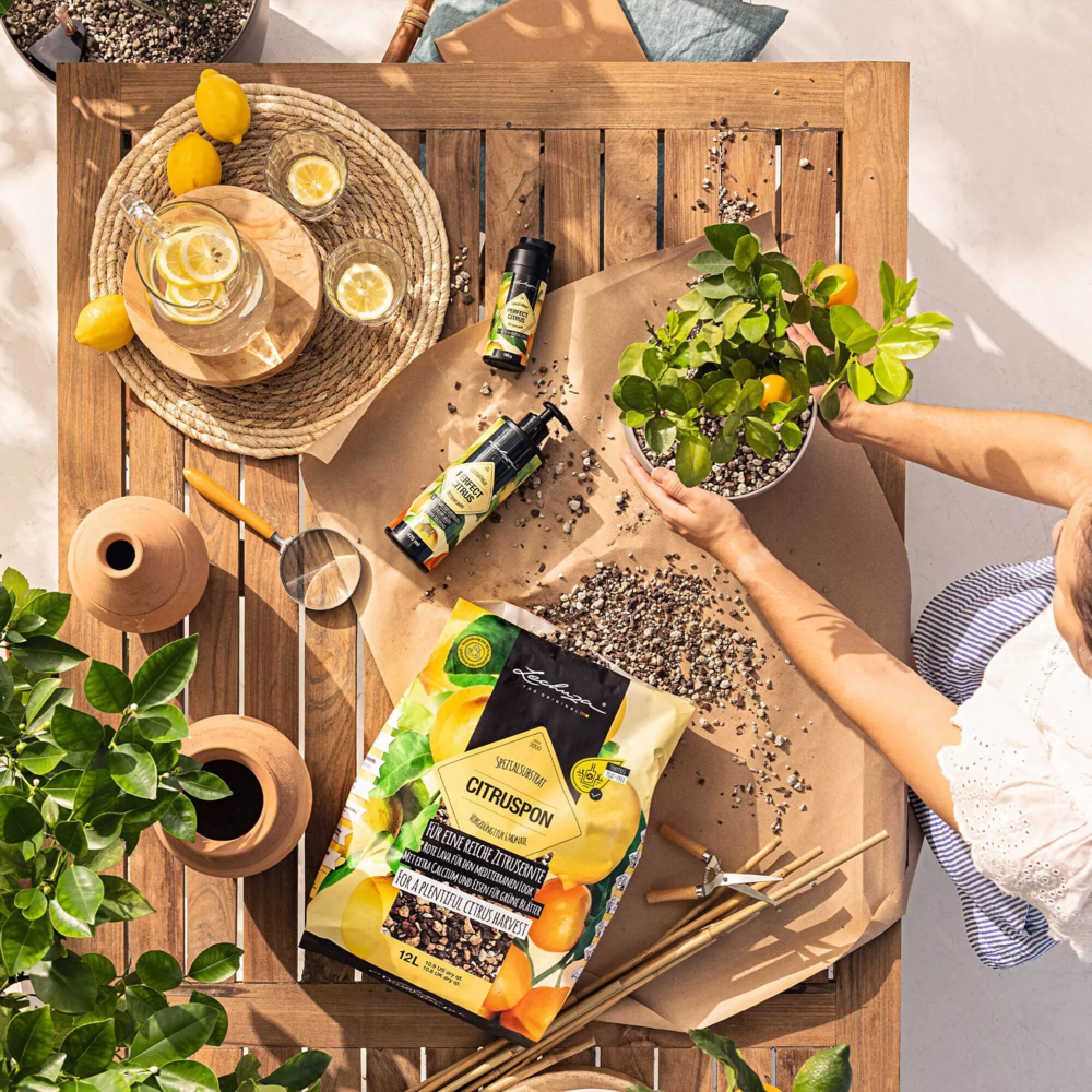 Fertiliseur liquide PERFECT CITRUS Fluid