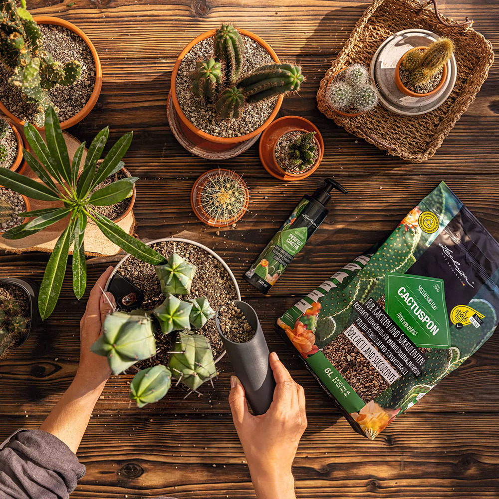 LECHUZA Liquid fertilizer PERFECT CACTUS Fluid LECHUZA Liquid fertilizer PERFECT CACTUS Fluid