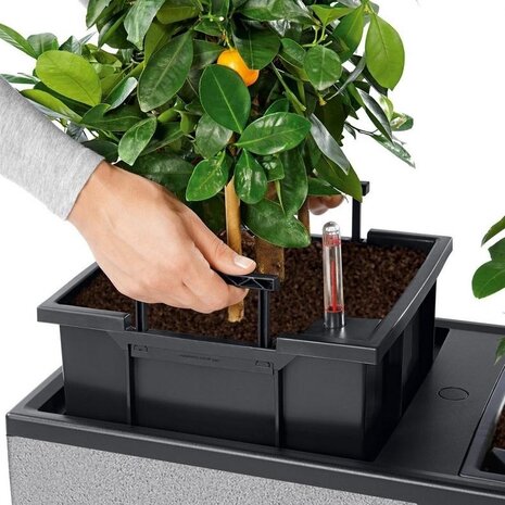 LECHUZA TRIO Stone gris pierre LECHUZA TRIO Stone gris pierre