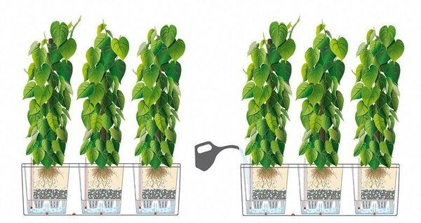 LECHUZA TRIO Stone kwarts wit