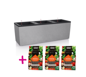 TRIO Stone 30 steingrau + 3x VEGGIEPON 12 Liter*