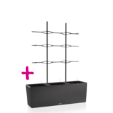 TRIO Stone 30 graphite black + Climbing grid