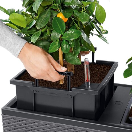 LECHUZA TRIO Cottage sand brown