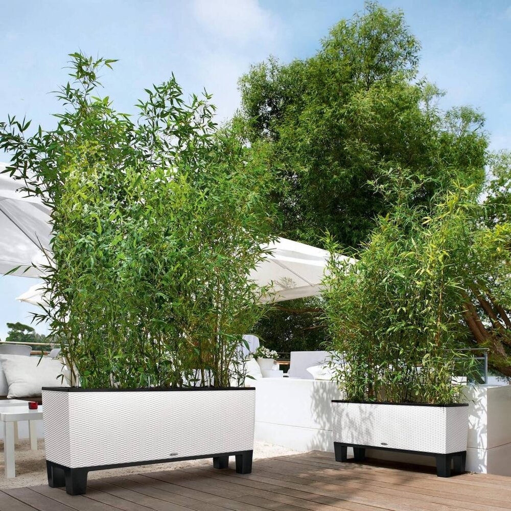 LECHUZA TRIO Cottage blanc LECHUZA TRIO Cottage blanc