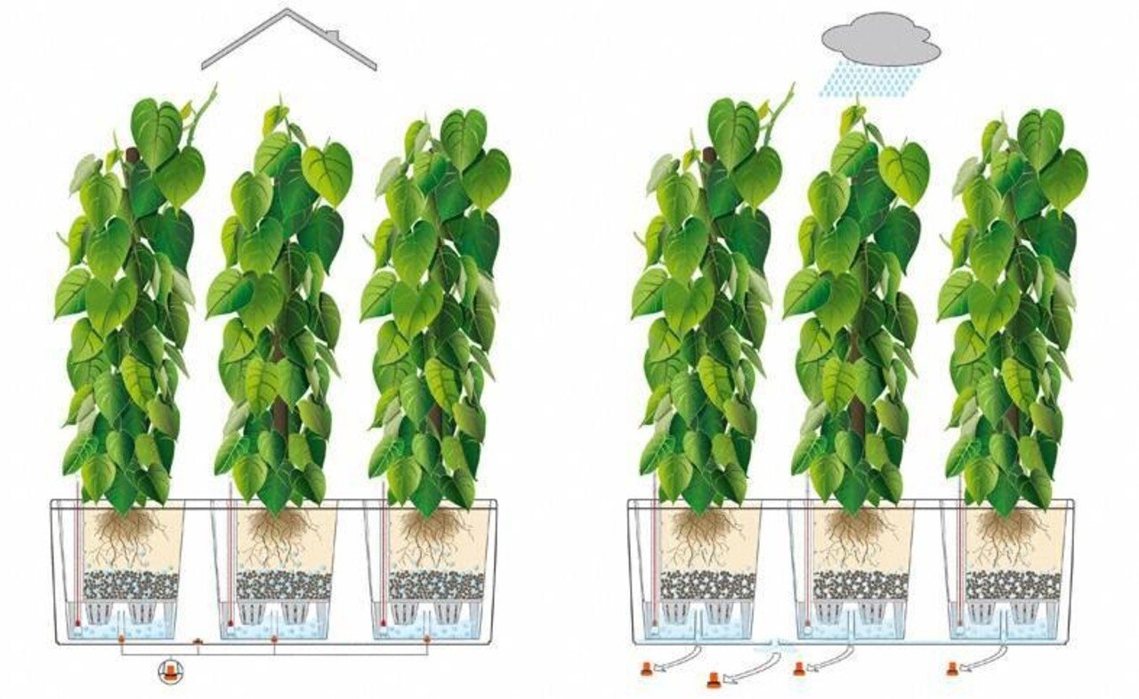 LECHUZA TRIO Cottage weiß