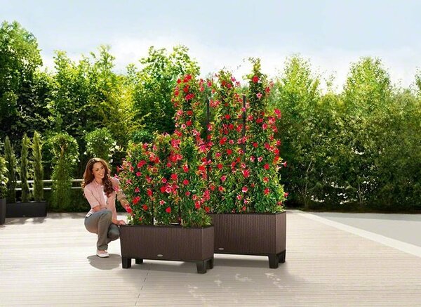 LECHUZA TRIO Cottage moka LECHUZA TRIO Cottage moka