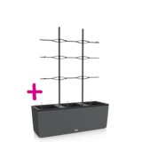 TRIO Cottage 30 granit + Treillis