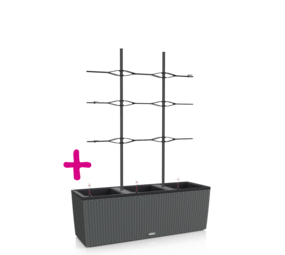 TRIO Cottage 30 granit + Treillis TRIO Cottage 30 granit + Treillis