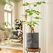 LECHUZA TRENDCOVER Vilt light gray LECHUZA TRENDCOVER Vilt light gray