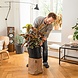 LECHUZA TRENDCOVER Kork natur dunkel LECHUZA TRENDCOVER Kork natur dunkel