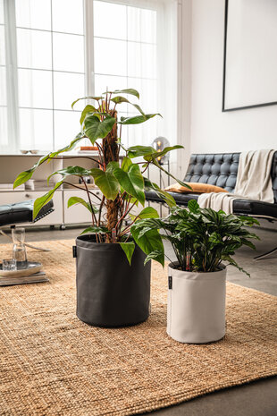 LECHUZA TRENDCOVER anthrazit