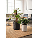 LECHUZA TRENDCOVER anthracite LECHUZA TRENDCOVER anthracite