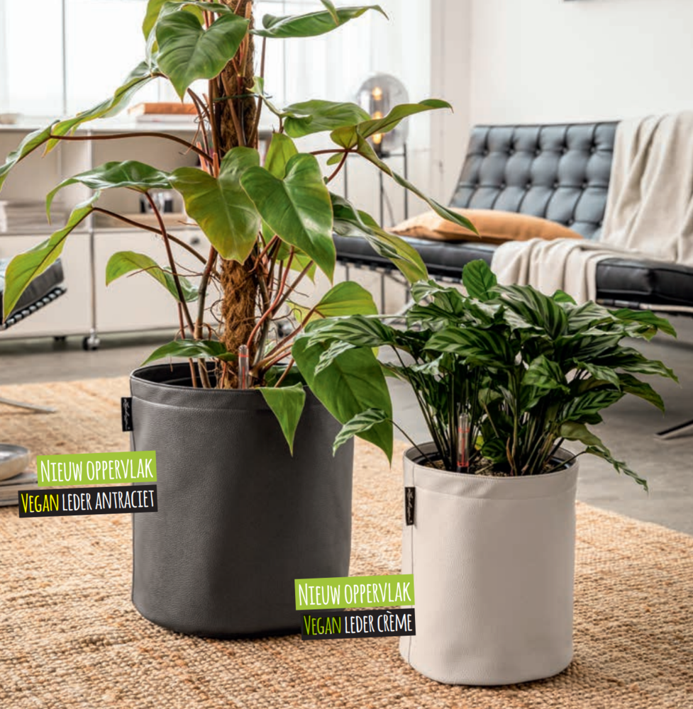 LECHUZA TRENDCOVER anthrazit