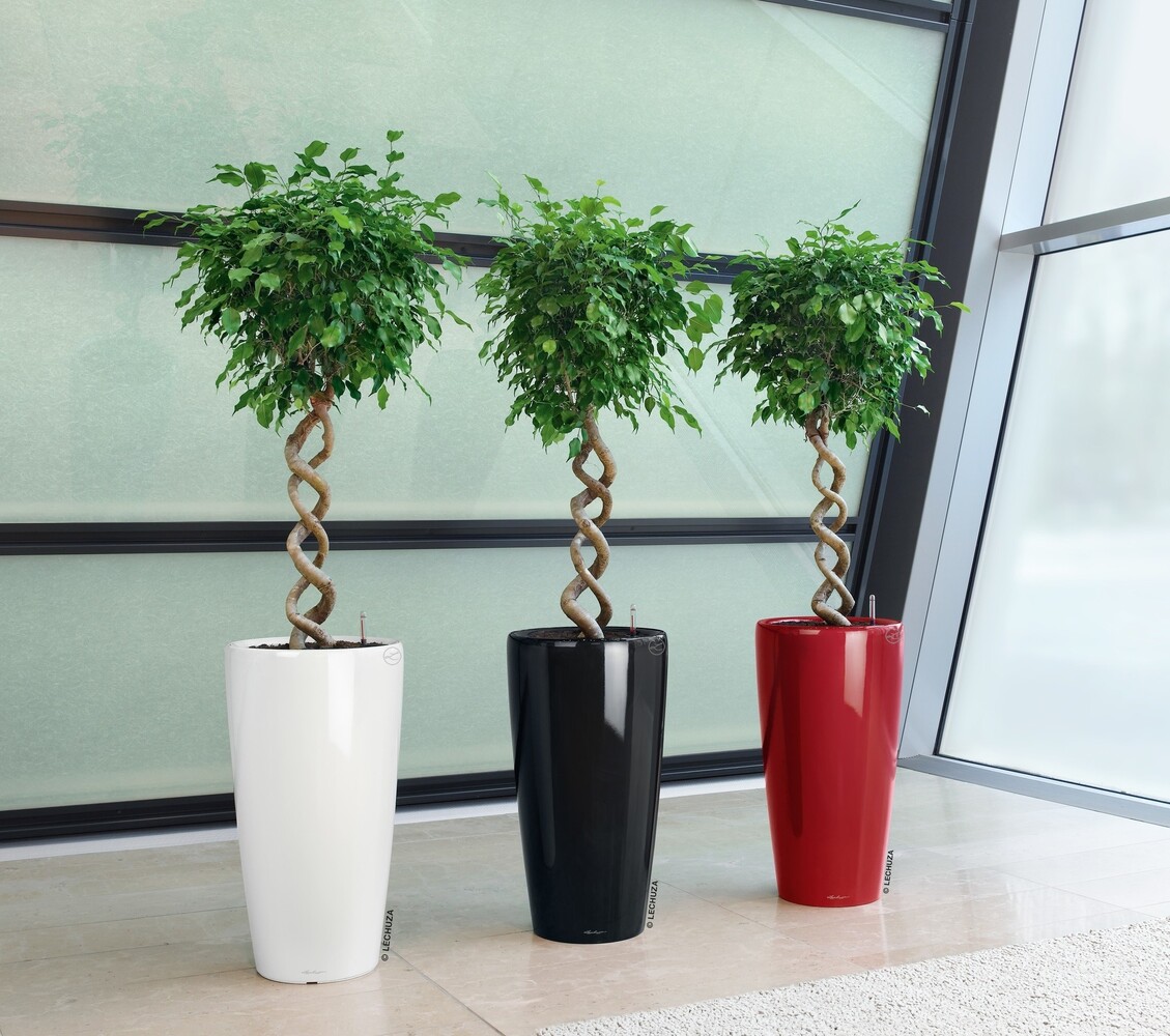 LECHUZA RONDO zwart hoogglans