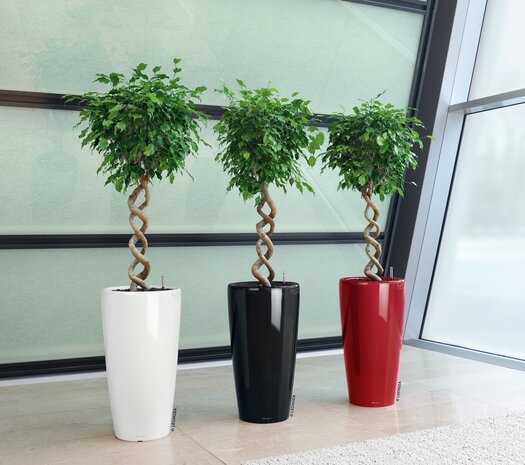 LECHUZA RONDO zwart hoogglans