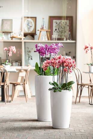 LECHUZA RONDO wit hoogglans LECHUZA RONDO wit hoogglans