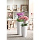 LECHUZA RONDO white high-gloss LECHUZA RONDO white high-gloss