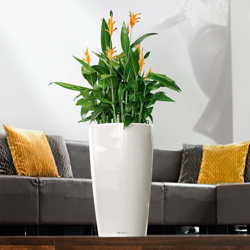 LECHUZA RONDO weiß hochglanz LECHUZA RONDO weiß hochglanz