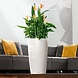 LECHUZA RONDO white high-gloss LECHUZA RONDO white high-gloss