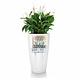 LECHUZA RONDO white high-gloss LECHUZA RONDO white high-gloss