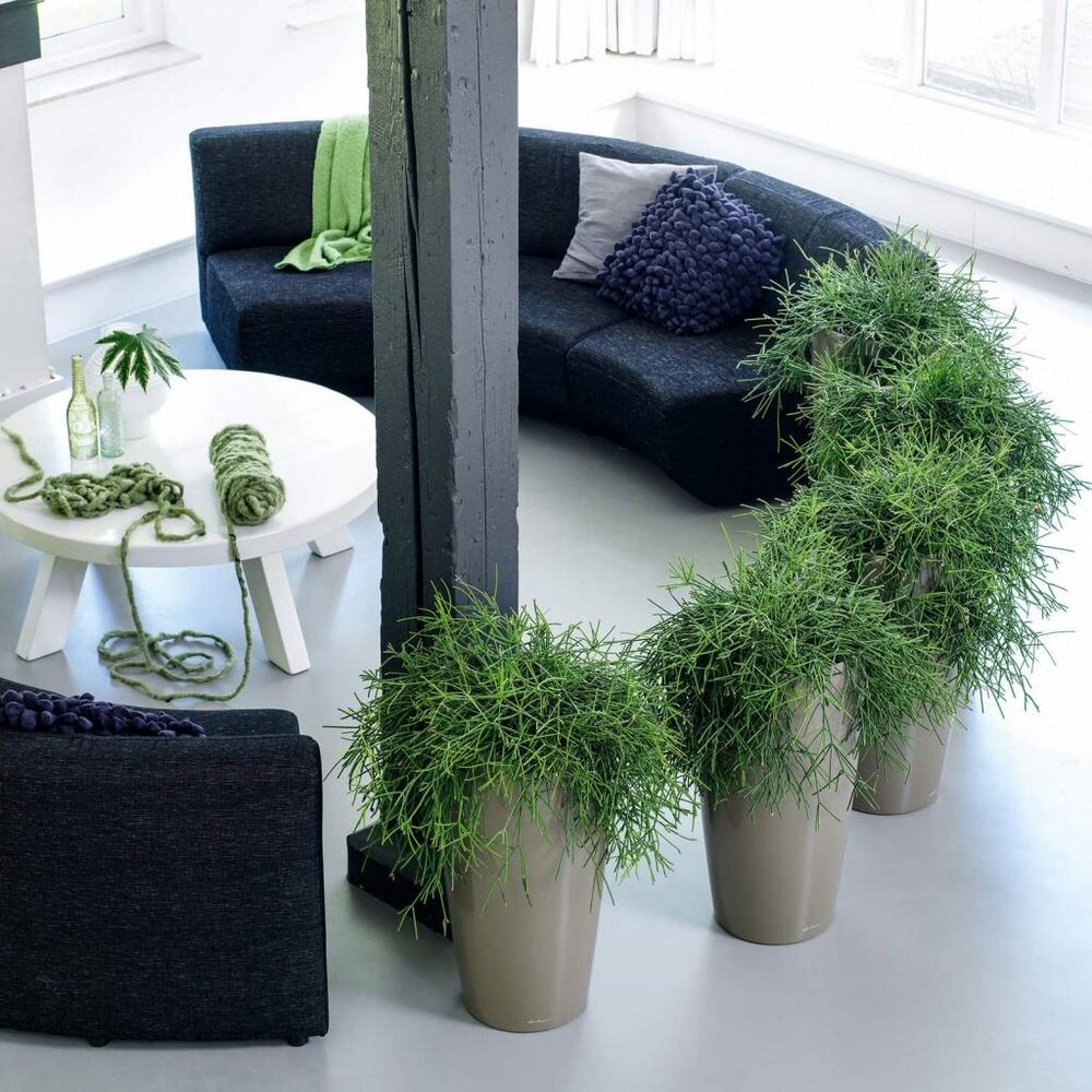 LECHUZA RONDO shiny taupe LECHUZA RONDO shiny taupe