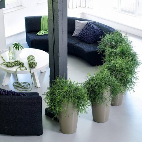 LECHUZA RONDO taupe hoogglans LECHUZA RONDO taupe hoogglans