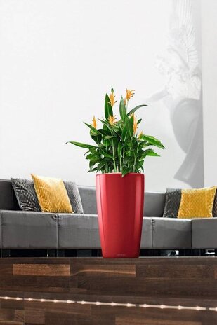 LECHUZA RONDO rouge scarlet brillant