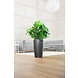 LECHUZA RONDO anthrazit metallic LECHUZA RONDO anthrazit metallic