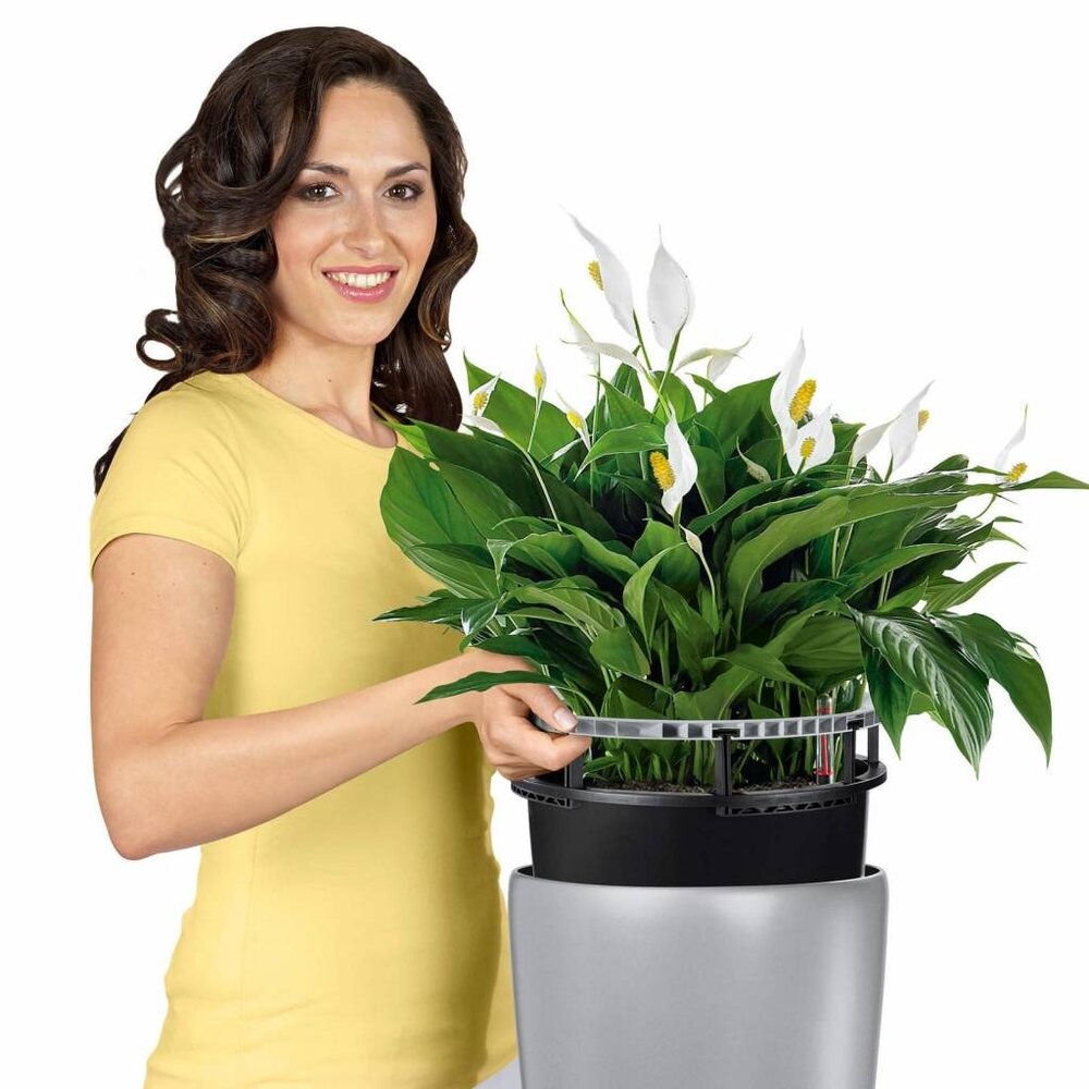 LECHUZA RONDO anthrazit metallic LECHUZA RONDO anthrazit metallic