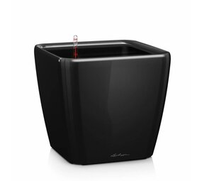 QUADRO LS noir brillant QUADRO LS noir brillant