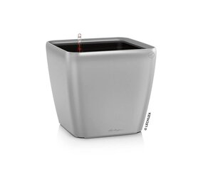 QUADRO LS silver metallic