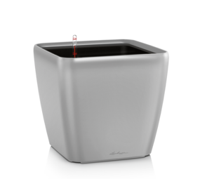 QUADRO LS silber metallic