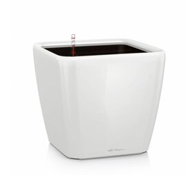 QUADRO LS white high-gloss QUADRO LS white high-gloss