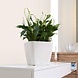 LECHUZA QUADRO LS white high-gloss LECHUZA QUADRO LS white high-gloss