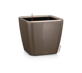 QUADRO LS taupe hochglanz