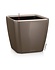 QUADRO LS taupe brillant QUADRO LS taupe brillant