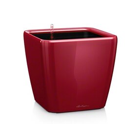 QUADRO LS scharlakenrood hoogglans QUADRO LS scharlakenrood hoogglans