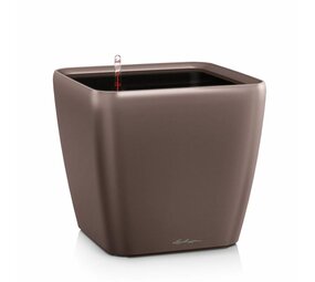 QUADRO LS espresso métallisé QUADRO LS espresso métallisé