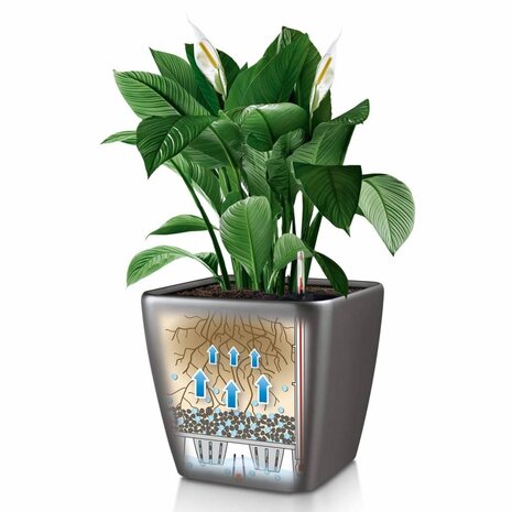 LECHUZA QUADRO LS espresso métallisé LECHUZA QUADRO LS espresso métallisé