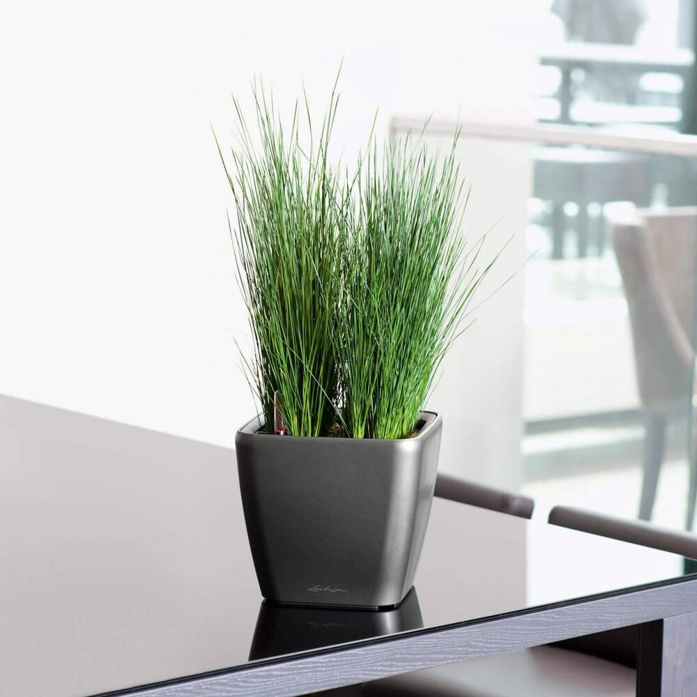 LECHUZA QUADRO LS charcoal metallic LECHUZA QUADRO LS charcoal metallic