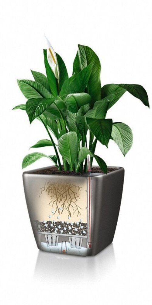 LECHUZA QUADRO LS charcoal metallic LECHUZA QUADRO LS charcoal metallic