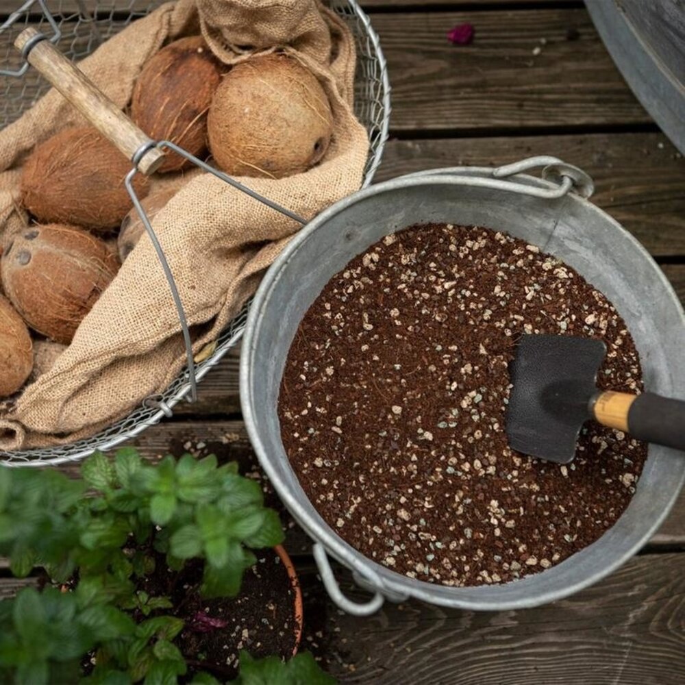 Substrat de plantation VEGGIEPON