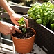 VEGGIEPON Plant Substrate VEGGIEPON Plant Substrate