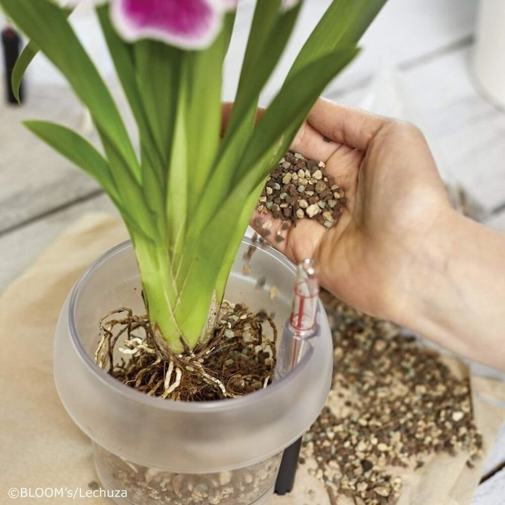 Plantensubstraat ORCHIDPON Plantensubstraat ORCHIDPON