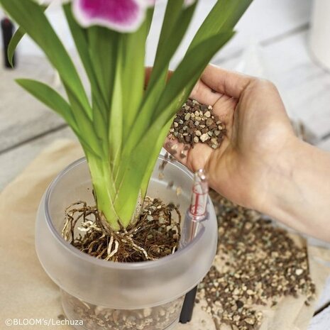 Substrat de plantation ORCHIDPON