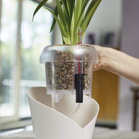 ORCHIDPON Plant Substrate ORCHIDPON Plant Substrate