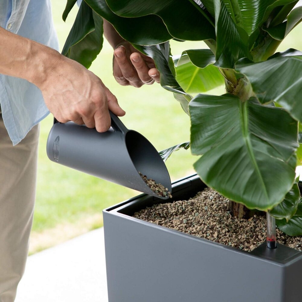 Substrat de plantation MONOPON Substrat de plantation MONOPON